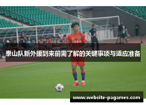 泰山队新外援到来前需了解的关键事项与适应准备