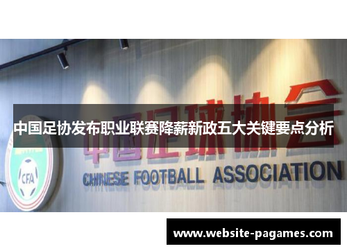 中国足协发布职业联赛降薪新政五大关键要点分析