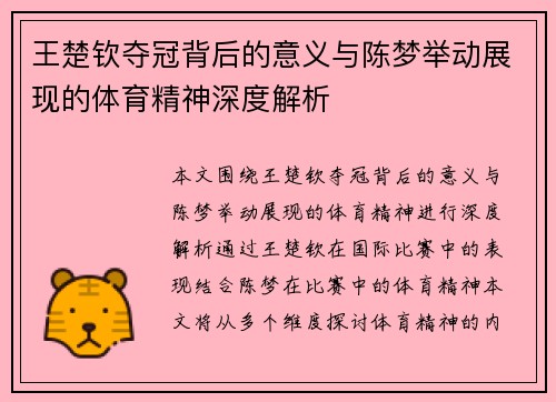 王楚钦夺冠背后的意义与陈梦举动展现的体育精神深度解析