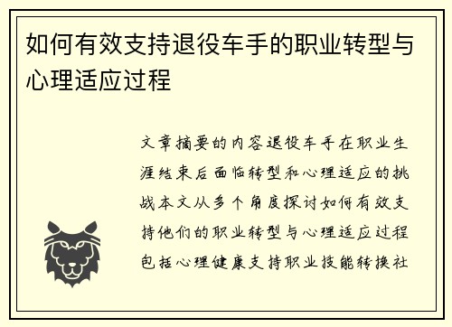 如何有效支持退役车手的职业转型与心理适应过程