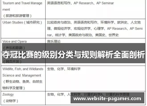 夺冠比赛的级别分类与规则解析全面剖析