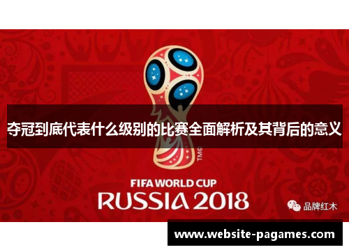 夺冠到底代表什么级别的比赛全面解析及其背后的意义