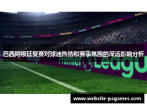 巴西阿根廷复赛对球迷热情和赛事氛围的深远影响分析