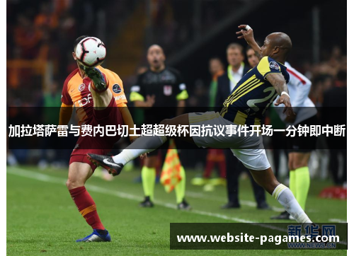 加拉塔萨雷与费内巴切土超超级杯因抗议事件开场一分钟即中断