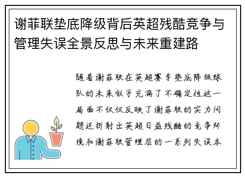 谢菲联垫底降级背后英超残酷竞争与管理失误全景反思与未来重建路