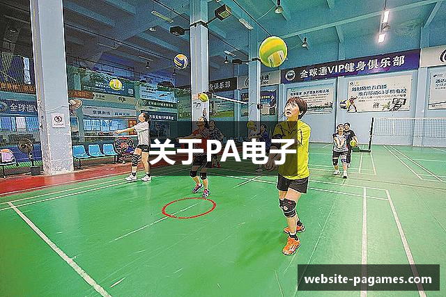 关于PA电子